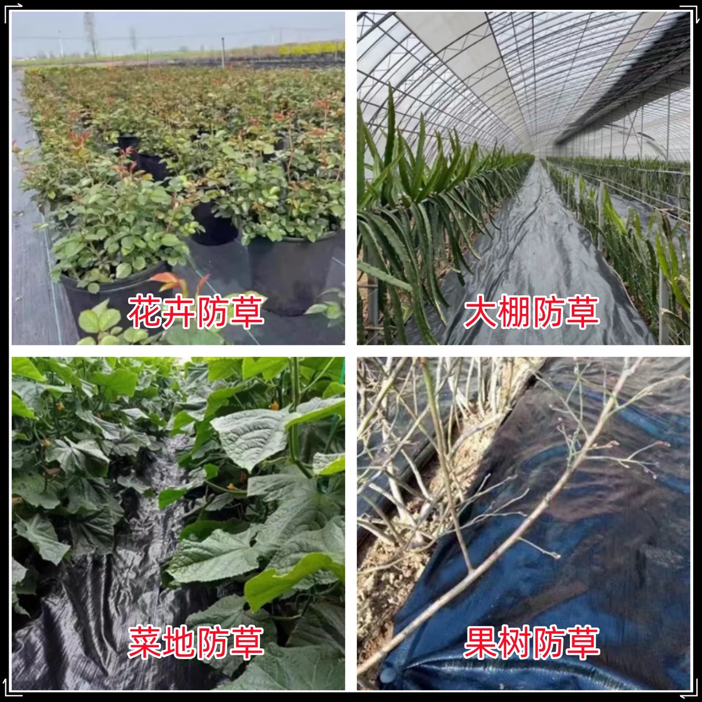 益广塑业有限公司（蚌埠市办事处）